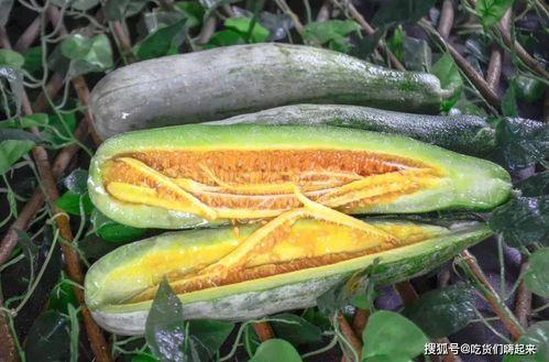 长春网红刘祉辰吃瓜,吃瓜成瘾，揭秘娱乐圈幕后风云  第1张